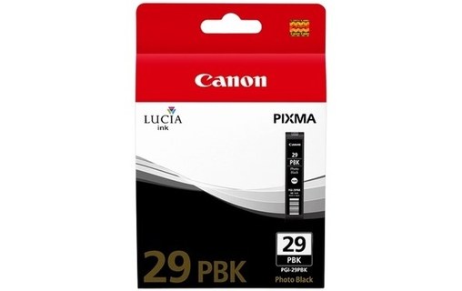 Canon PGI29 Cartouche Photo noir 4869B001 (PGI29PBK)