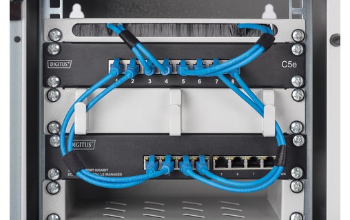 Switch Ethernet DIGITUS DN-80117 8 ports - Manageable, L2+