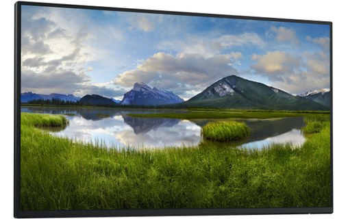 Écran 24" Dell P Series P2425H_WOST - HDMI/DisplayPort/USB-C/VGA