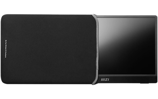 Écran 15,6" MSI PRO MP161DE E2 - USB-C/Mini HDMI