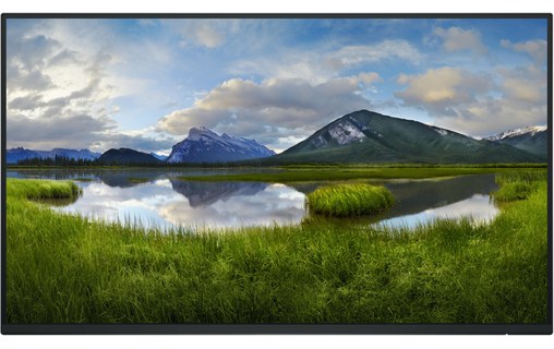Écran 24" Dell P Series P2425H_WOST - HDMI/DisplayPort/USB-C/VGA