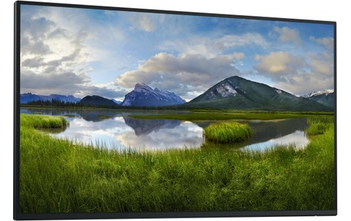 Écran 27" Dell P Series P2725H_WOST - HDMI/DisplayPort/USB-C/VGA