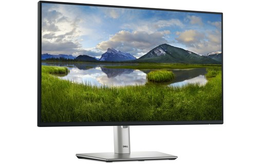 Écran 24" Dell P Series P2425H - HDMI/DisplayPort/USB-C/VGA