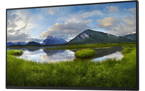 Écran 24" Dell P Series P2425H_WOST - HDMI/DisplayPort/USB-C/VGA