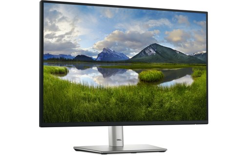 Écran 24,1" Dell P Series P2425E - HDMI/DisplayPort/USB-C