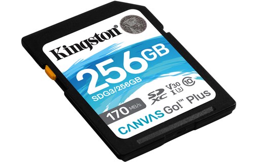 Carte SDXC Kingston Canvas Go Plus 256 Go, UHS-I, V30