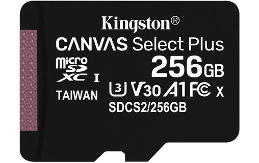 Carte microSDXC Kingston Canvas Select Plus 256 Go avec adaptateur SD, UHS-I