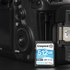 Carte SDXC Kingston Canvas Go Plus 512 Go, UHS-I, V30