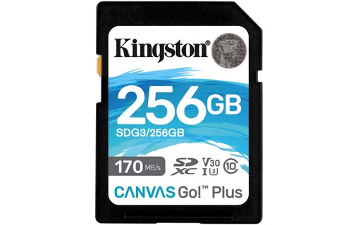Carte SDXC Kingston Canvas Go Plus 256 Go, UHS-I, V30