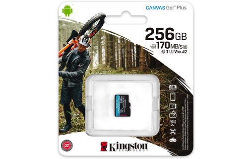 Carte microSDXC Kingston Canvas Go Plus 256 Go, UHS-I, V30