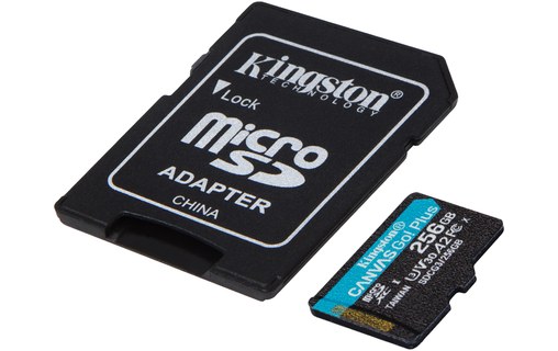 Carte microSDXC Kingston Canvas Go Plus 256 Go avec adaptateur SD, UHS-I, V30