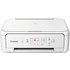 Imprimante multifonction Canon PIXMA TS5151 - WiFi, AirPrint