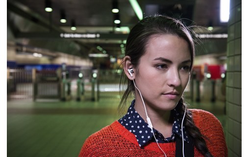 Écouteurs JBL Tune 210, Gris