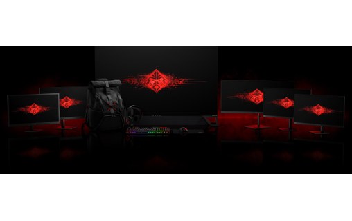 Écran Gaming 24,5" HP OMEN X 25f - 240 Hz