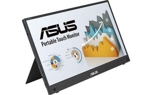 Écran 15,6" ASUS ZenScreen 90LM0890-B01170 - USB-C/Mini HDMI