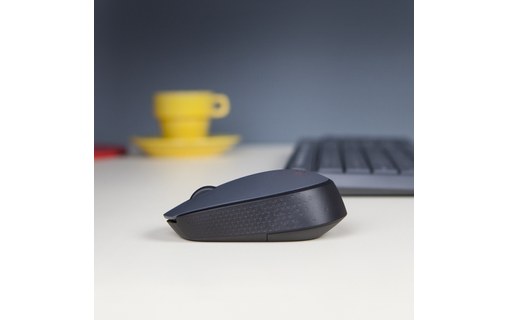 Souris sans fil Logitech M171 - Grise