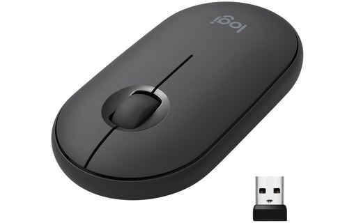 Logitech Pebble M350 souris RF Sans fil + Bluetooth Optique 1000 DPI Ambidextre
