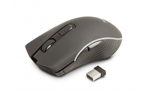 Souris sans fil Urban Factory Onlee - Noire - Ergonomique