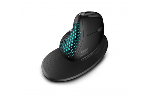 Souris sans fil Urban Factory Ergo Max - Noire - Ergonomique