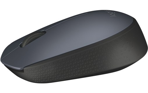 Souris sans fil Logitech M171 - Grise