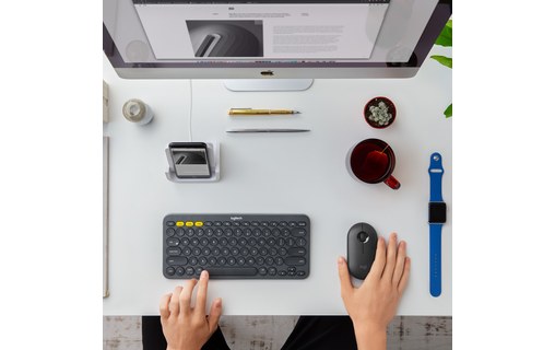 Logitech Pebble M350 souris RF Sans fil + Bluetooth Optique 1000 DPI Ambidextre