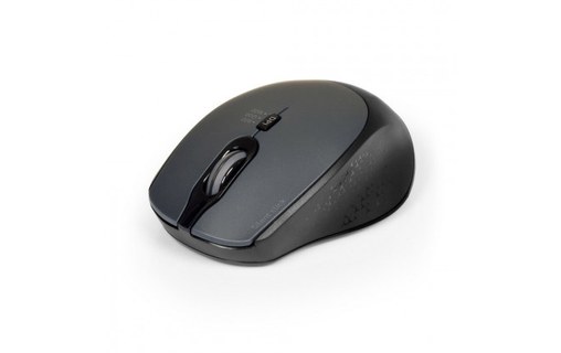 Souris sans fil PORT Designs 900713 - Noire