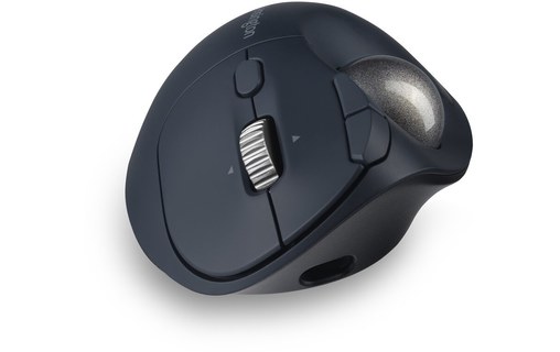 Souris sans fil Kensington Pro Fit Ergo - Grise, Noire - Ergonomique