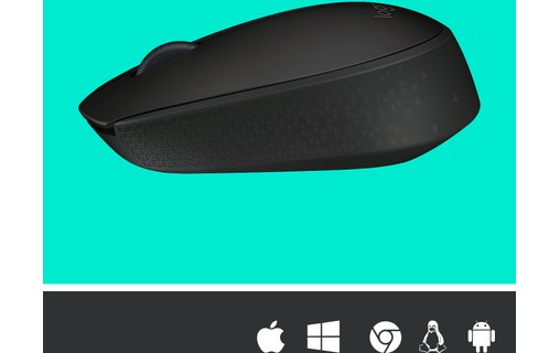 Souris sans fil Logitech M171 - Noire