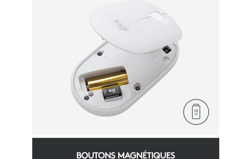 Logitech Pebble M350 souris RF Sans fil + Bluetooth Optique 1000 DPI Ambidextre
