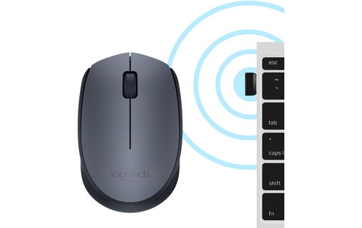 Souris sans fil Logitech M171 - Grise