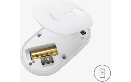 Logitech Pebble M350 souris RF Sans fil + Bluetooth Optique 1000 DPI Ambidextre