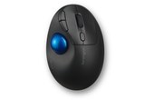 Souris sans fil Kensington Pro Fit Ergo - Bleue, Noire - Ergonomique
