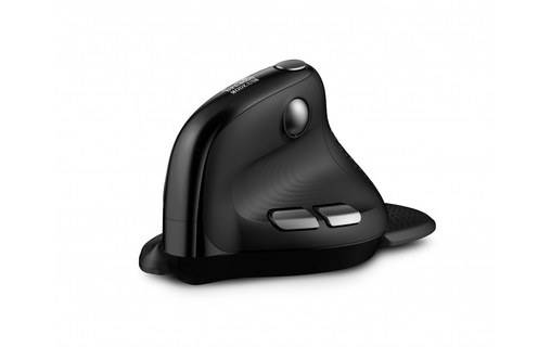 Souris sans fil Urban Factory Ergo Max - Noire - Ergonomique
