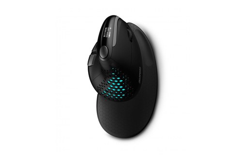 Souris sans fil Urban Factory Ergo Max - Noire - Ergonomique