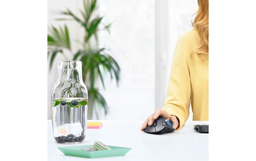 Souris sans fil Logitech ERGO M575 - Graphite - Ergonomique, Trackball