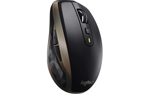 Logitech MX Anywhere 2 souris RF Sans fil + Bluetooth Laser 1000 DPI Droitier