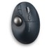 Souris sans fil Kensington Pro Fit Ergo - Grise, Noire - Ergonomique