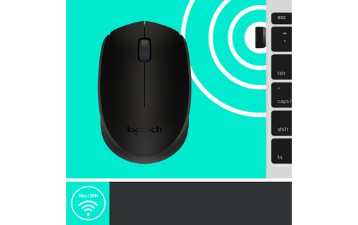 Souris sans fil Logitech M171 - Noire