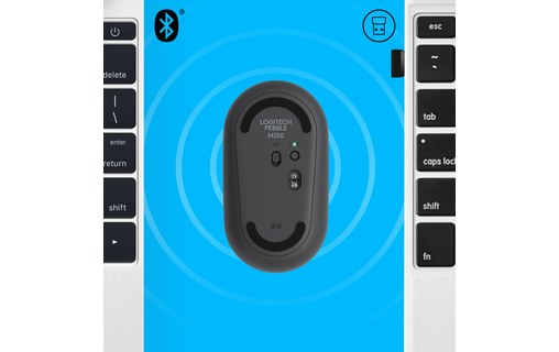 Logitech Pebble M350 souris RF Sans fil + Bluetooth Optique 1000 DPI Ambidextre