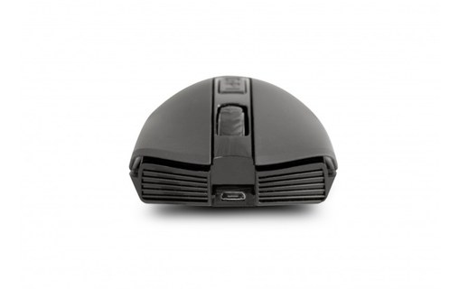 Souris sans fil Urban Factory Onlee - Noire - Ergonomique