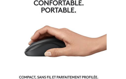 Souris sans fil Logitech M240 Silent - Graphite