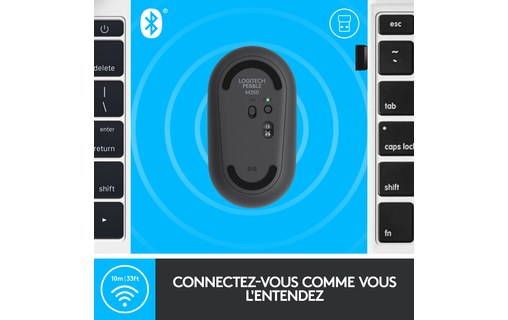 Logitech Pebble M350 souris RF Sans fil + Bluetooth Optique 1000 DPI Ambidextre
