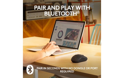 Souris sans fil Logitech M240 Silent - Graphite