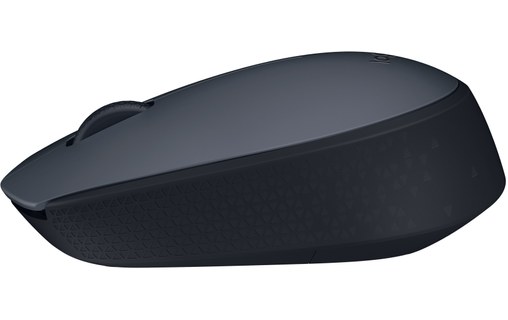 Souris sans fil Logitech M171 - Grise