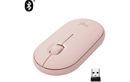 Logitech Pebble M350 souris RF Sans fil + Bluetooth Optique 1000 DPI Ambidextre