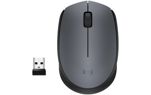 Souris sans fil Logitech M171 - Grise