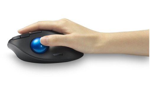 Souris sans fil Kensington Pro Fit Ergo - Bleue, Noire - Ergonomique