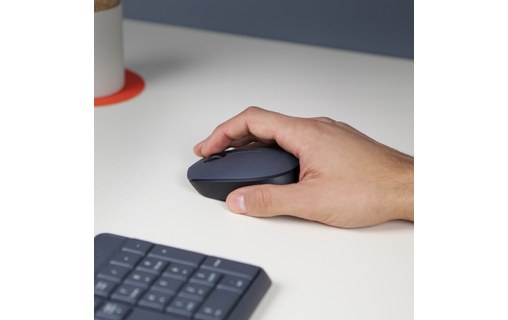 Souris sans fil Logitech M171 - Grise