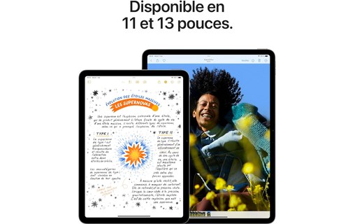 Apple iPad Air 13" - 2024 - WiFi + Cellular 256 Go - Mauve