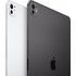 Apple iPad Pro 11" 2024 WiFi + Cellular 2 To Verre nano-texturé - Argent